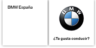 bmw_es